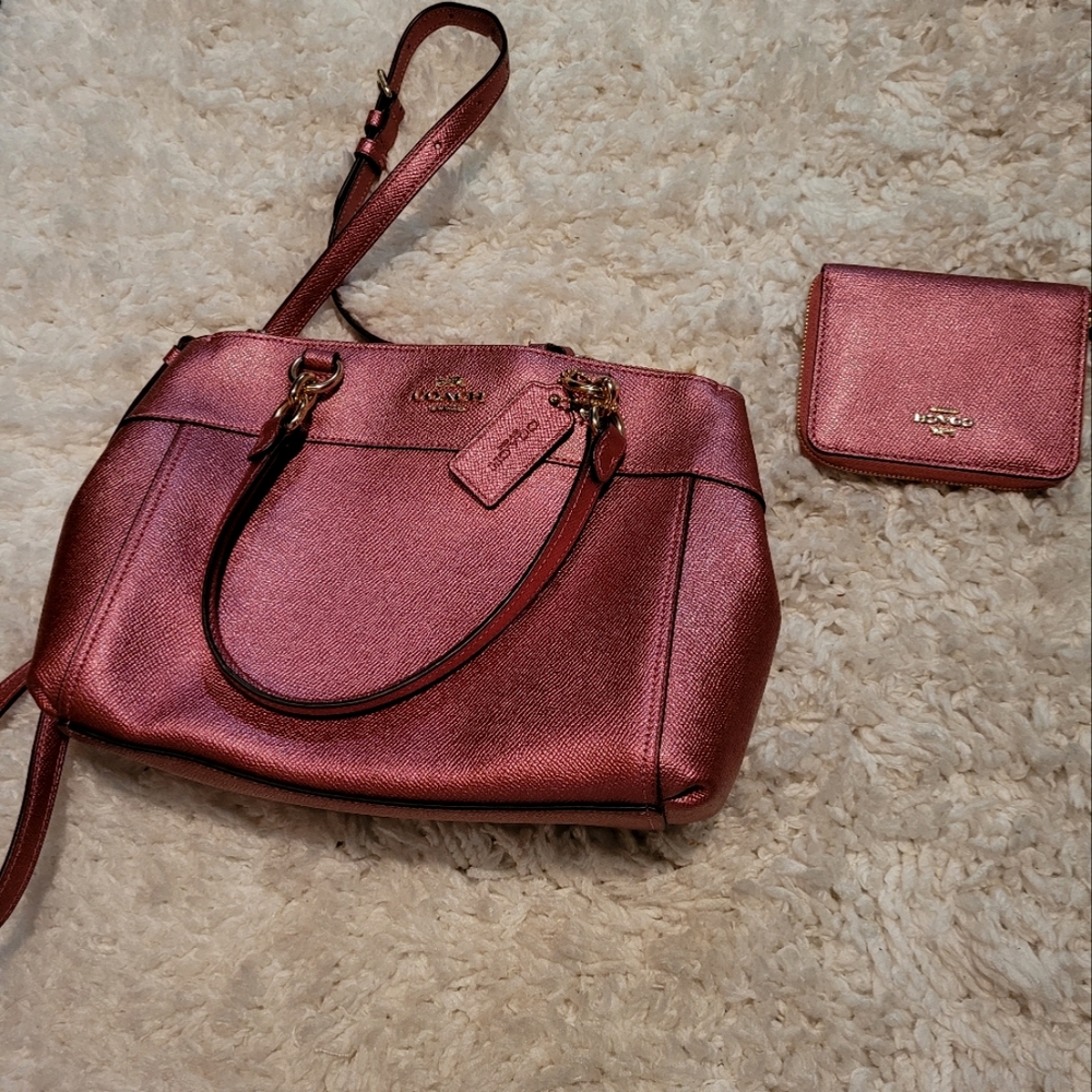 Coach Purse and Wallet